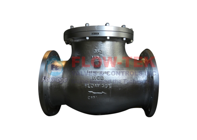 Swing Type Check Valve